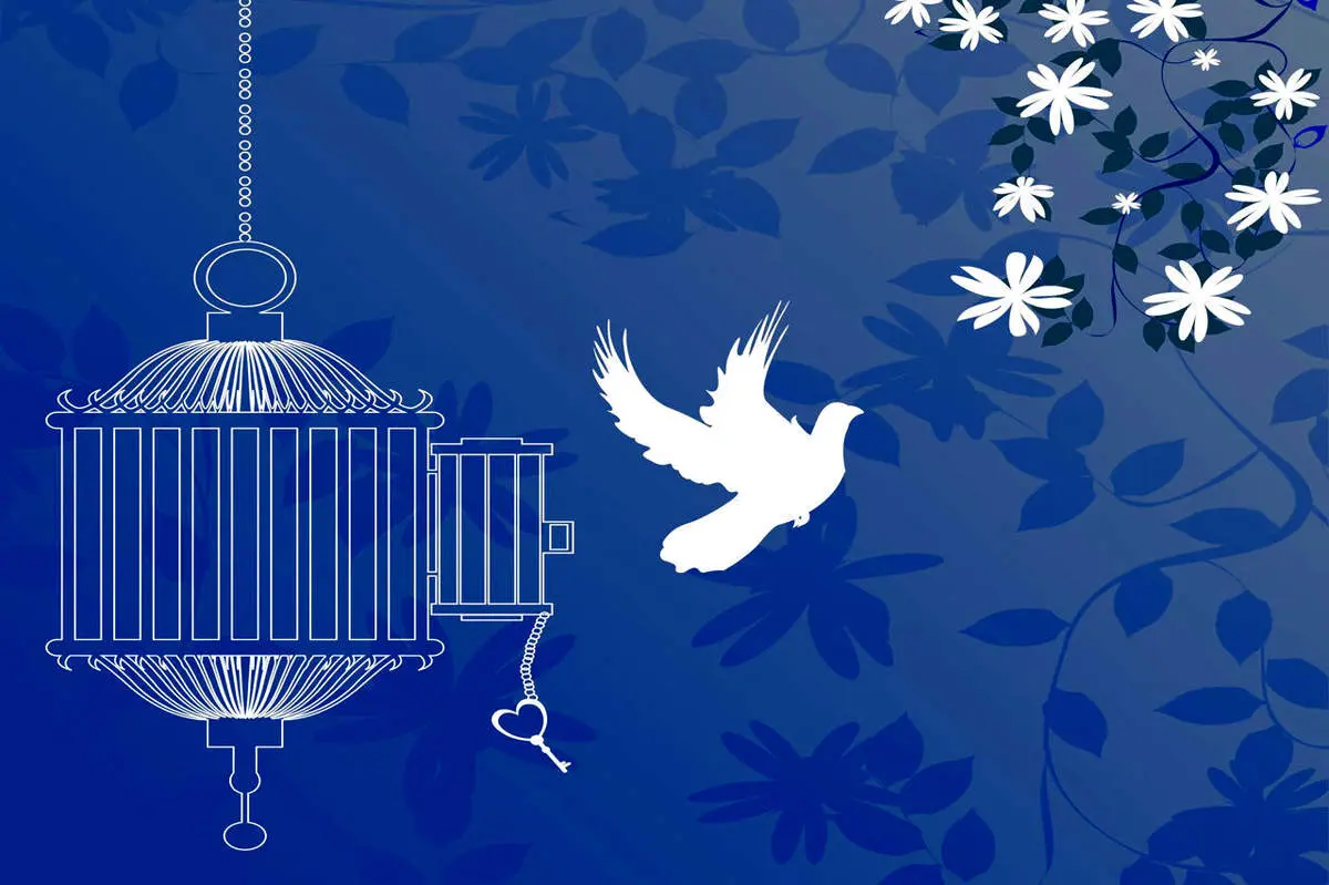 رسانه حقوقی دادنما اخبار حقوقی وکالت وکیل